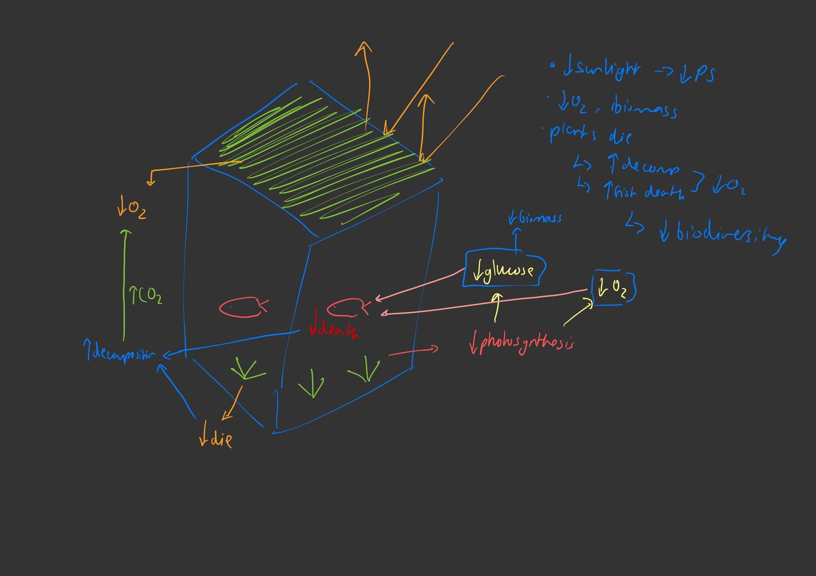 A lesson slide on eutrophication: an algal bloom blocking sunlight, then falling oxygen, decomposition and fish deaths.