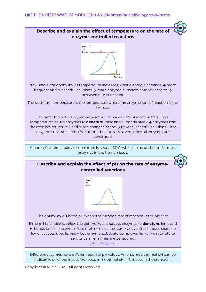 A page of the Nuclei notes on the effect of temperature and pH on enzyme-controlled reactions.